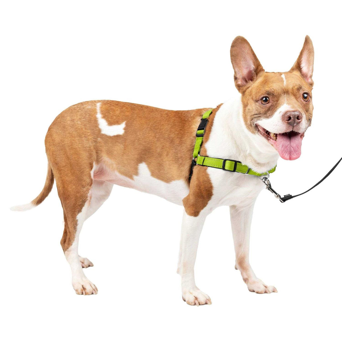 Easy Walk Harness E490903
